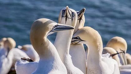 湖州2026年最新杭州高端商务伴游招聘网渠道分享(最方便真实的湖州茉莉伴游伴游天下全国联盟方法)