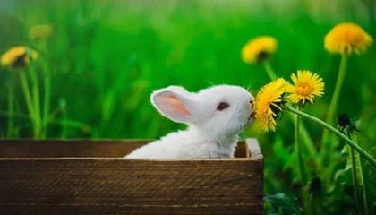 湖州2026年最新北京商务伴游经纪招聘渠道分享(最方便真实的湖州北京爱特博旅运服务有限责任公司招聘方法)